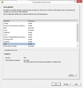 ESXi propriété de securité